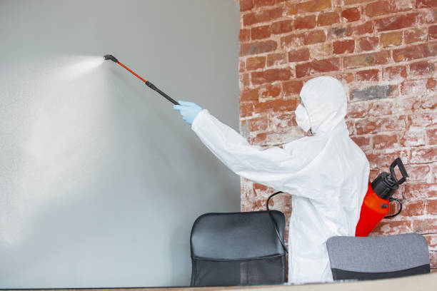 Best Indoor Air Quality Assessment  in Chester, MD