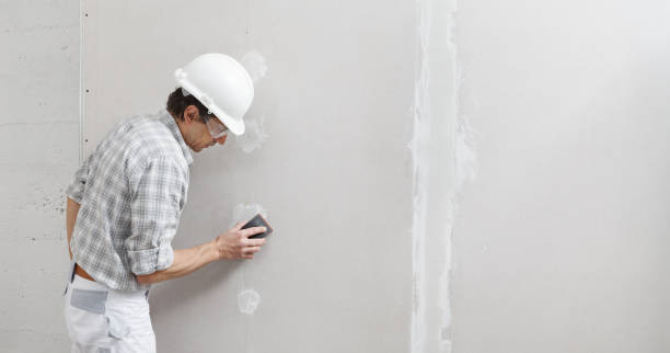 Best Environmental Consulting for Mold Prevention  in Chester, MD