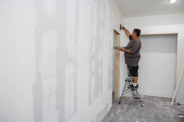 Mold Removal for HVAC Installations in Chester, MD