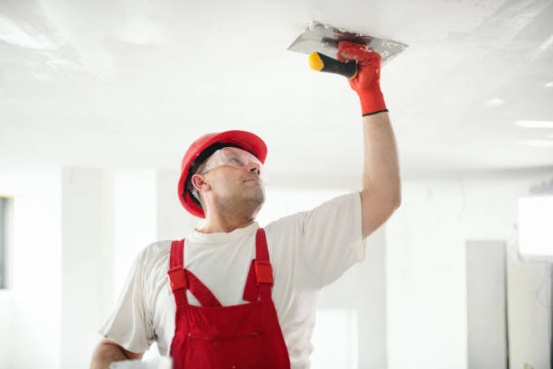Professional Mold Removal in Chester, MD