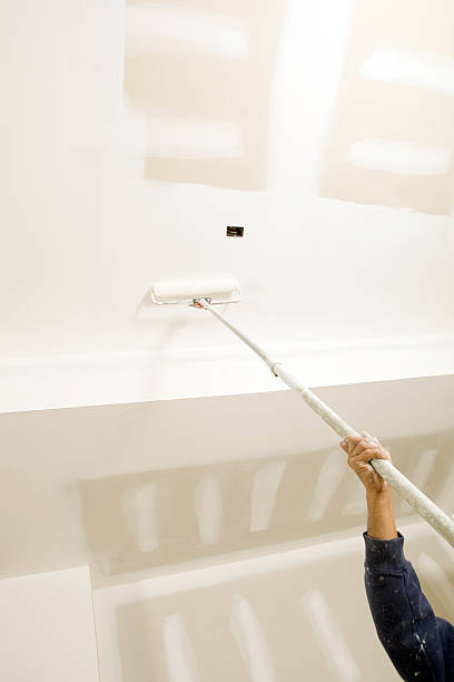  Chester, MD Mold Removal Pros
