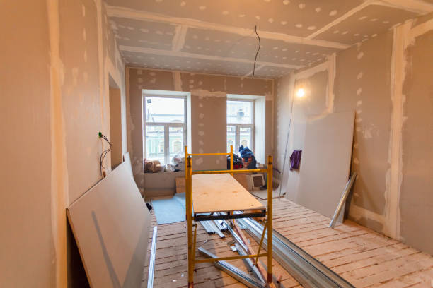 Best Post-Construction Mold Inspection  in Chester, MD