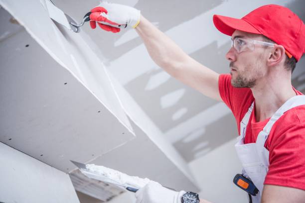 Best Black Mold Removal  in Chester, MD