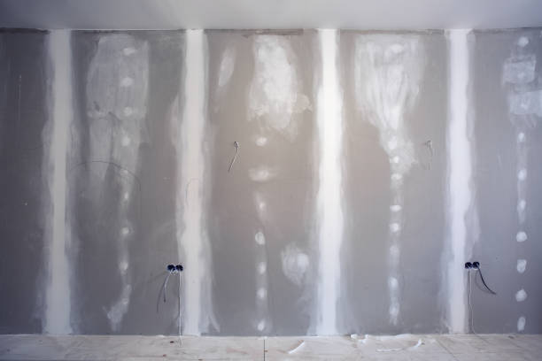 Best Airborne Mold Testing  in Chester, MD